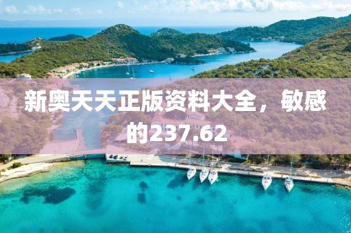 新奧天天正版資料大全，敏感的237.62