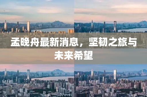 孟晚舟最新消息，堅(jiān)韌之旅與未來(lái)希望