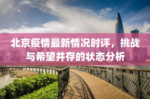 北京疫情最新情況時(shí)評(píng)，挑戰(zhàn)與希望并存的狀態(tài)分析