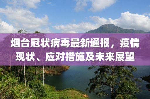 煙臺冠狀病毒最新通報，疫情現(xiàn)狀、應(yīng)對措施及未來展望