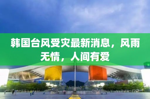韓國(guó)臺(tái)風(fēng)受災(zāi)最新消息，風(fēng)雨無(wú)情，人間有愛