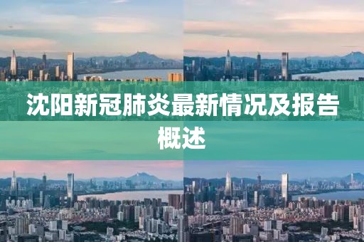 沈陽新冠肺炎最新情況及報告概述