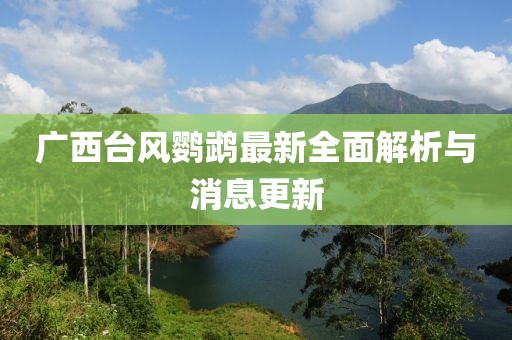 廣西臺(tái)風(fēng)鸚鵡最新全面解析與消息更新