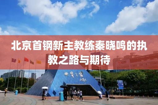 北京首鋼新主教練秦曉鳴的執(zhí)教之路與期待