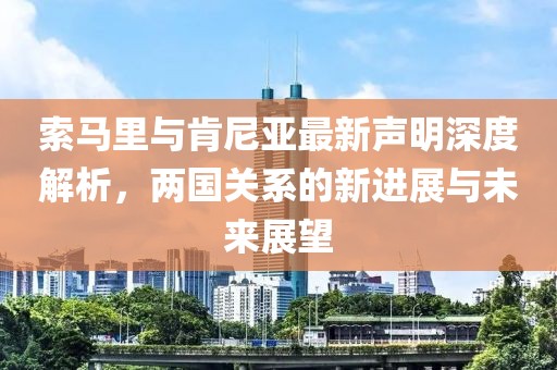 索馬里與肯尼亞最新聲明深度解析，兩國(guó)關(guān)系的新進(jìn)展與未來(lái)展望