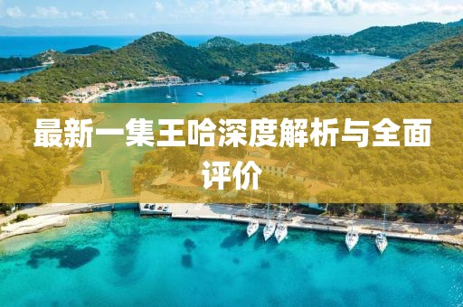 最新一集王哈深度解析與全面評價