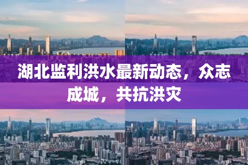 湖北監(jiān)利洪水最新動態(tài)，眾志成城，共抗洪災