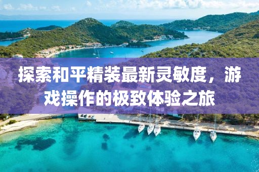 探索和平精裝最新靈敏度，游戲操作的極致體驗(yàn)之旅