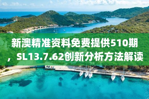 新澳精準資料免費提供510期，SL13.7.62創(chuàng)新分析方法解讀