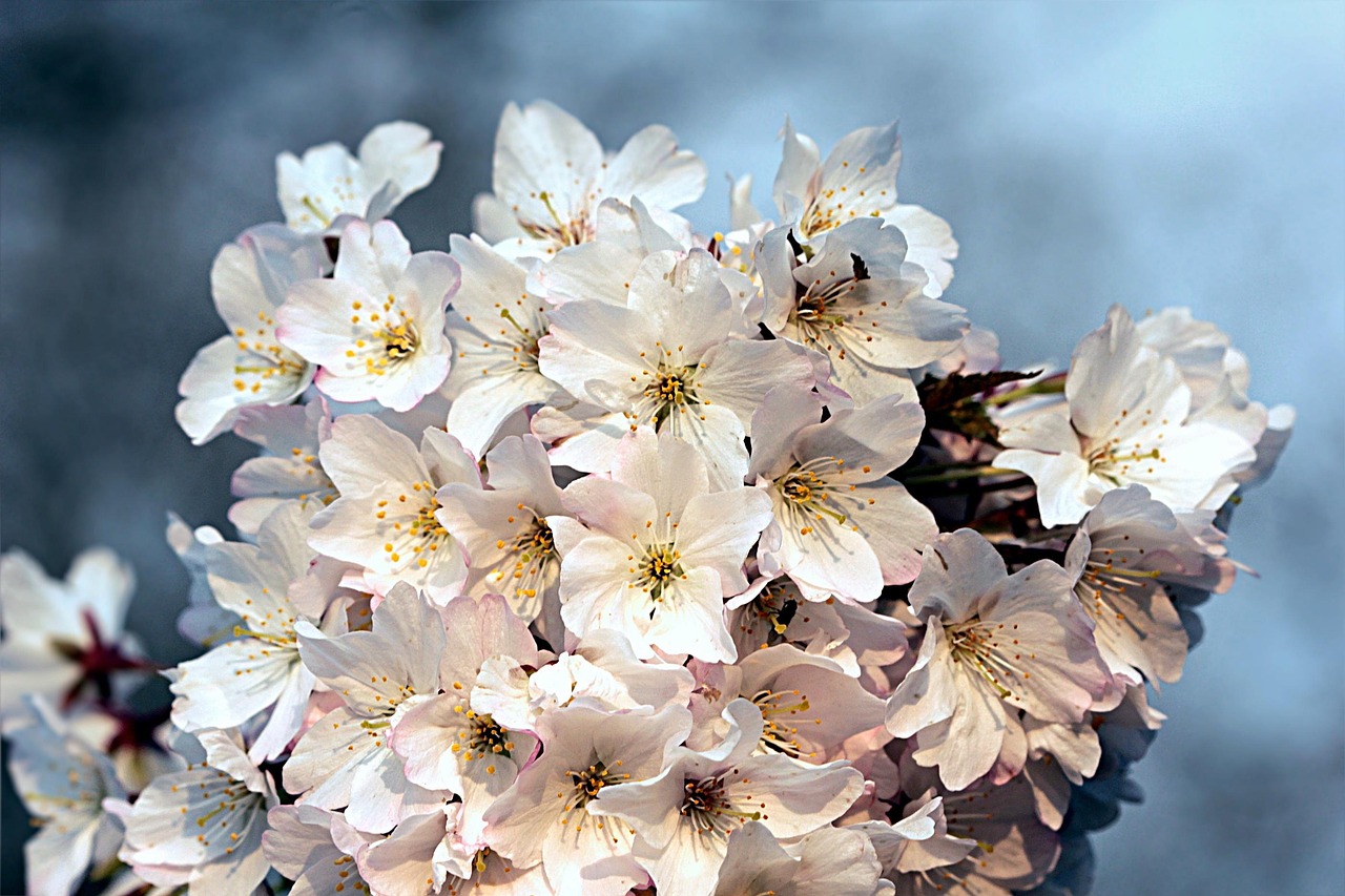 薩勒曼最新動(dòng)態(tài)，揭開(kāi)未來(lái)新篇章的序幕