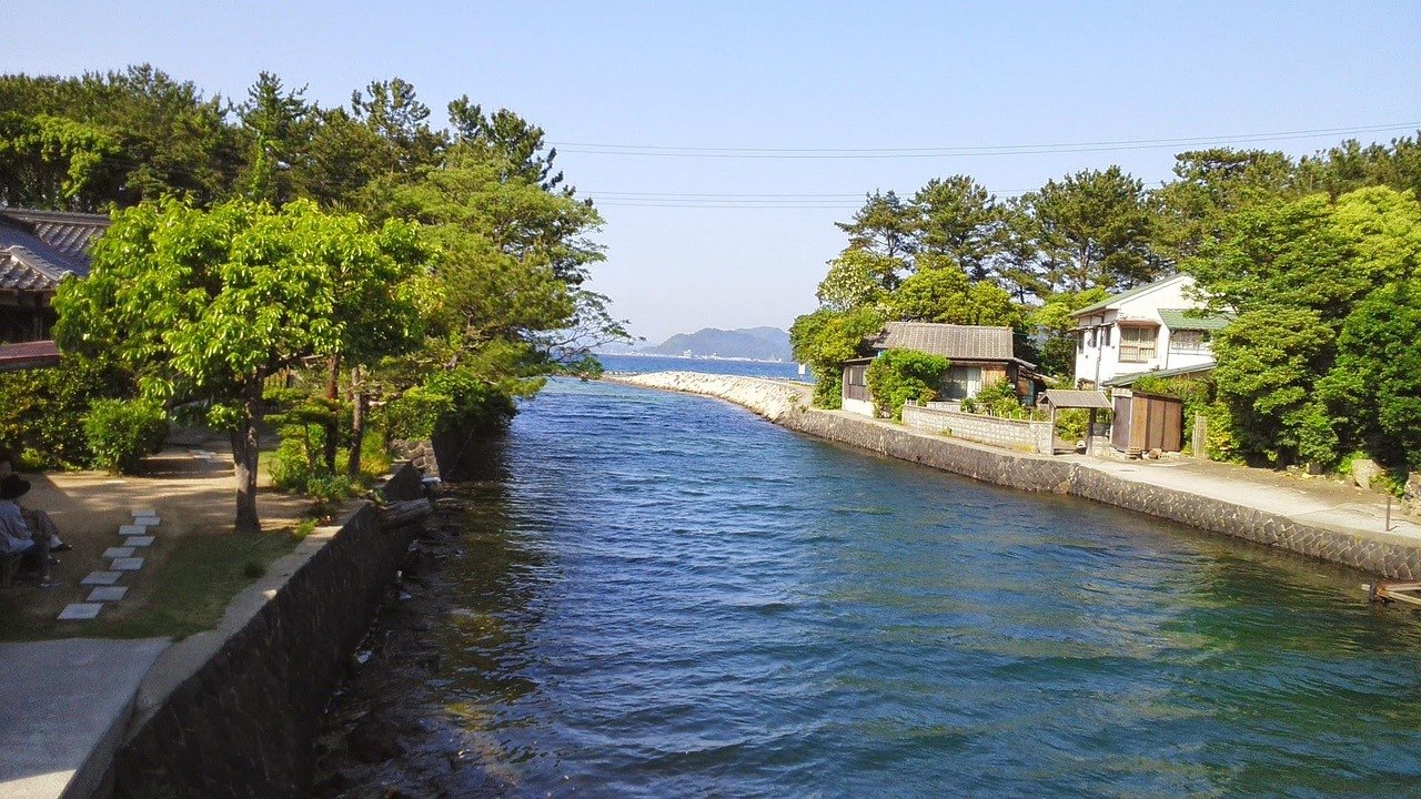 日本海最新動態(tài)，探索、發(fā)現(xiàn)與未來展望